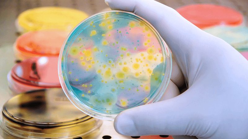人源化抗体定制：揭秘其研发背后的关键要素**