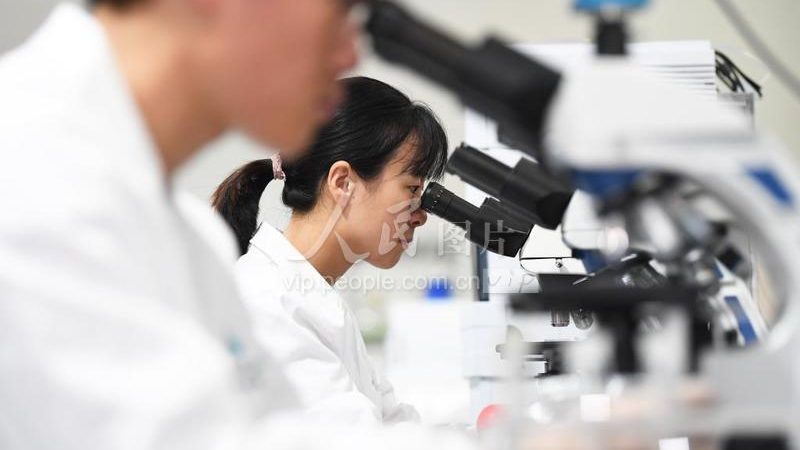 国产生物试剂，从“平替”到“优选”还有多远