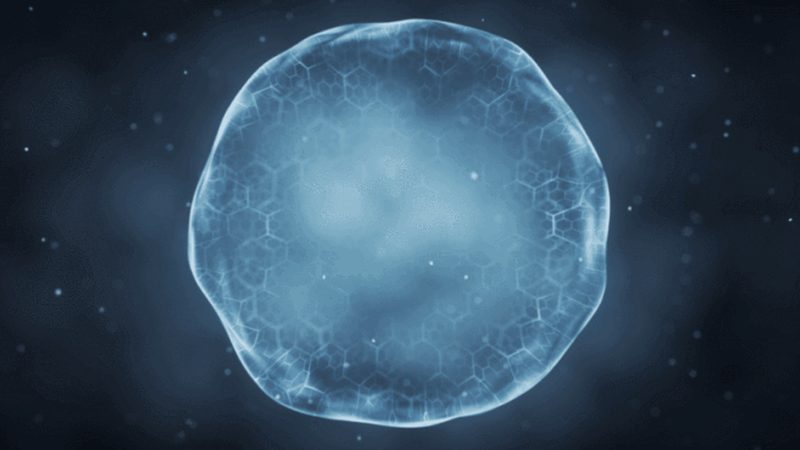 生物科技公司区域代理：如何规避合作陷阱**