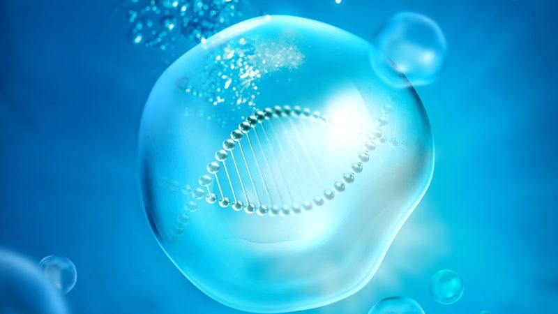 CRS在生物医药研发中的应用：案例解析与行业洞察**