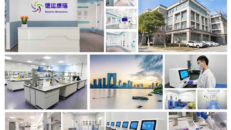 引物合成周期揭秘：影响因素及优化策略