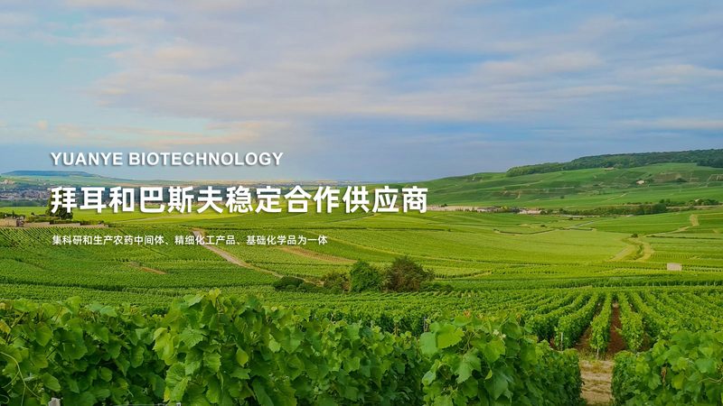 实验用耗材定制并不只是“按图做样