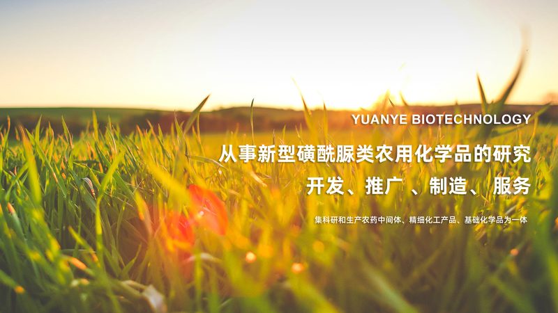生物医药CRO与CDMO：一纸之隔，千差万别**