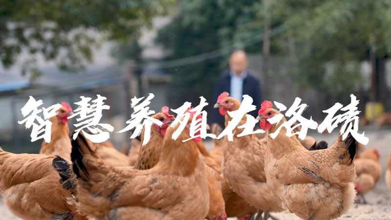 基因检测与体检：揭秘两者之间的差异