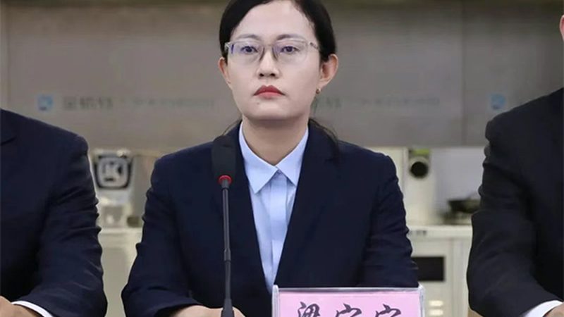 CDMO龙头企业定制流程：揭秘生物制药的“幕后英雄