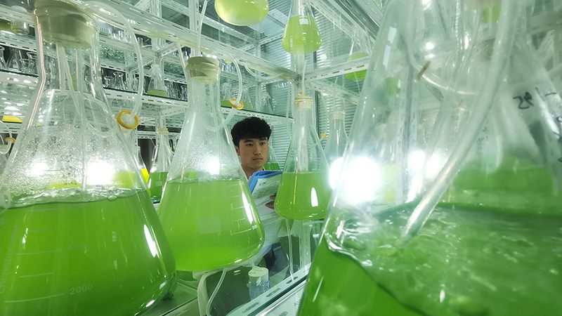 北京PCR移液器：精准操作背后的维护之道**